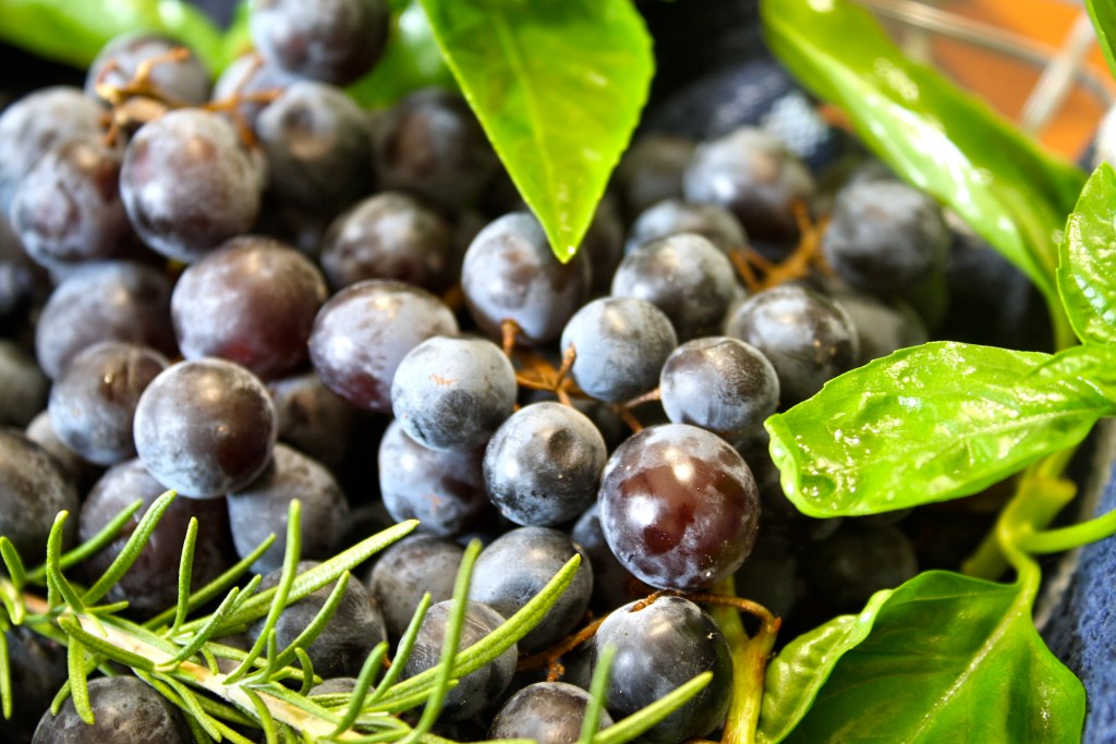 Sweet/Savory Focaccia for Grill&nbsp;Night