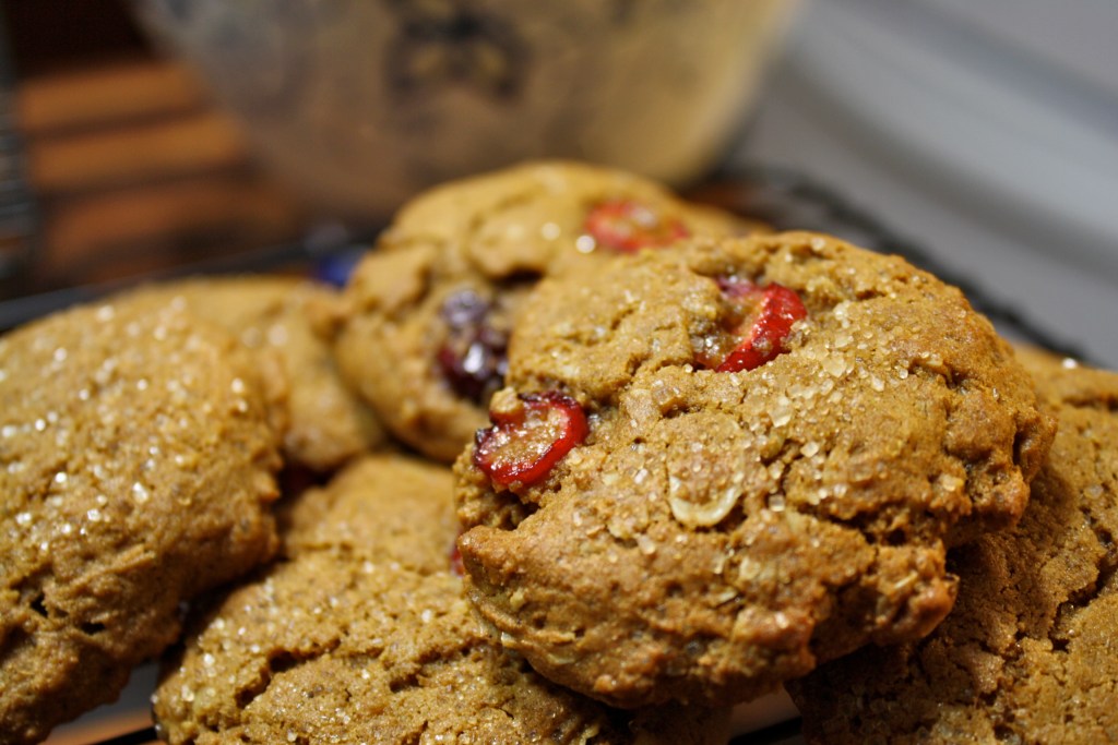 Cranberry Spice Cookies