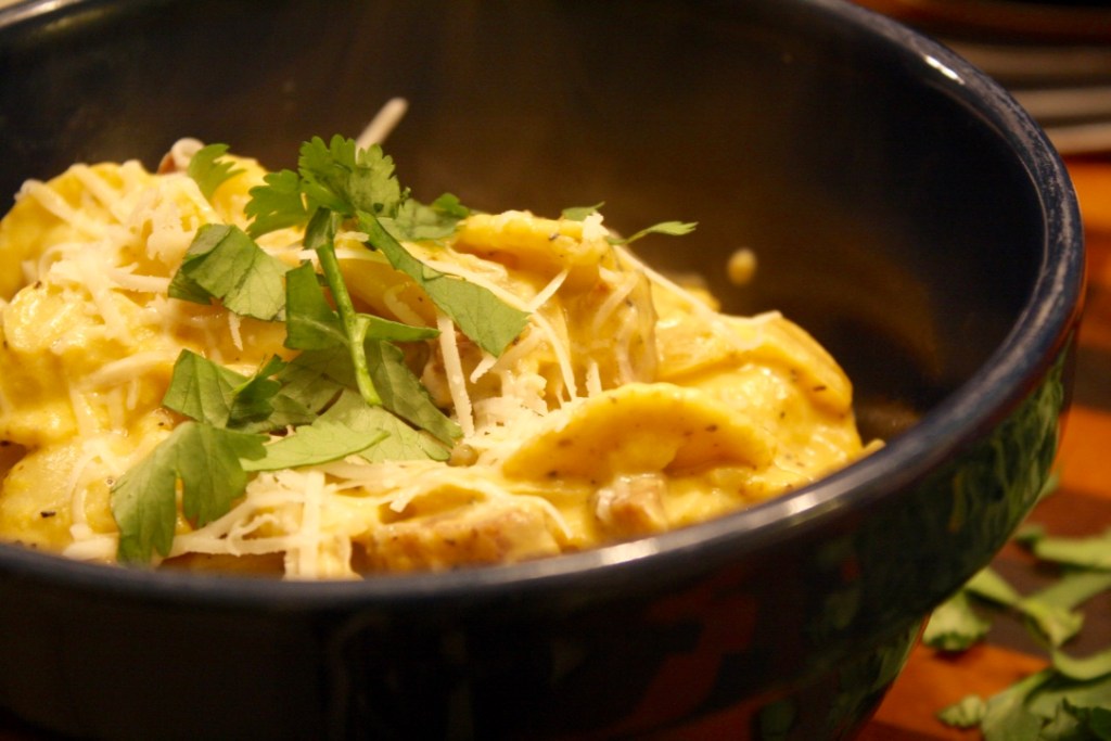 Pasta with Spicy Pumpkin Alfredo&nbsp;Sauce